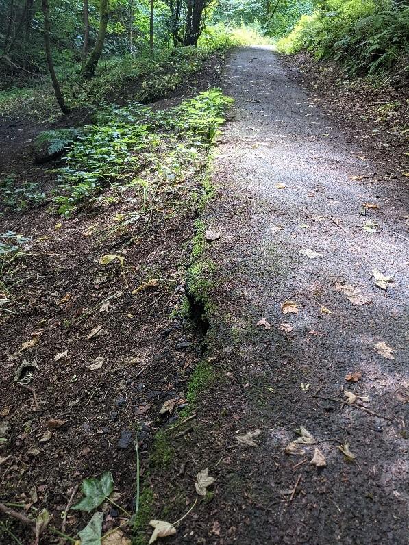 Evidence Of Path Maintenance